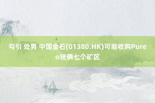 勾引 处男 中国金石(01380.HK)可能收购Pureo技俩七个矿区