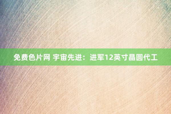免费色片网 宇宙先进：进军12英寸晶圆代工