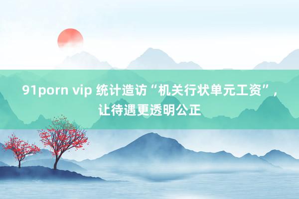 91porn vip 统计造访“机关行状单元工资”，让待遇更透明公正