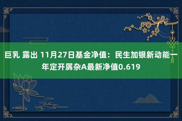 巨乳 露出 11月27日基金净值：民生加银新动能一年定开羼杂A最新净值0.619