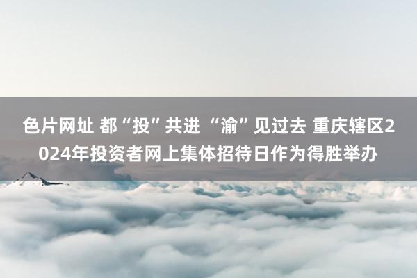 色片网址 都“投”共进 “渝”见过去 重庆辖区2024年投资者网上集体招待日作为得胜举办