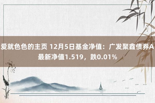 爱就色色的主页 12月5日基金净值：广发聚鑫债券A最新净值1.519，跌0.01%