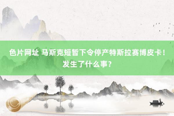 色片网址 马斯克短暂下令停产特斯拉赛博皮卡！发生了什么事？