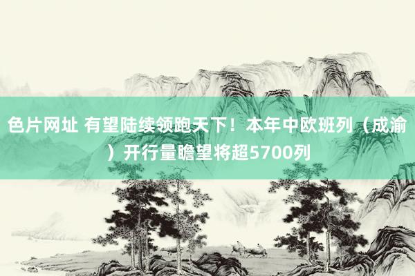 色片网址 有望陆续领跑天下！本年中欧班列（成渝）开行量瞻望将超5700列