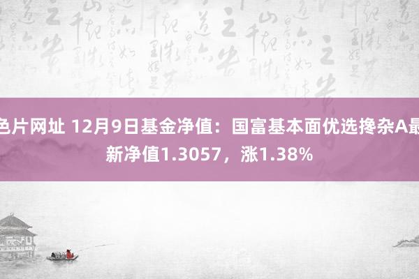 色片网址 12月9日基金净值：国富基本面优选搀杂A最新净值1.3057，涨1.38%