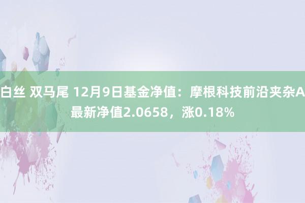 白丝 双马尾 12月9日基金净值：摩根科技前沿夹杂A最新净值2.0658，涨0.18%