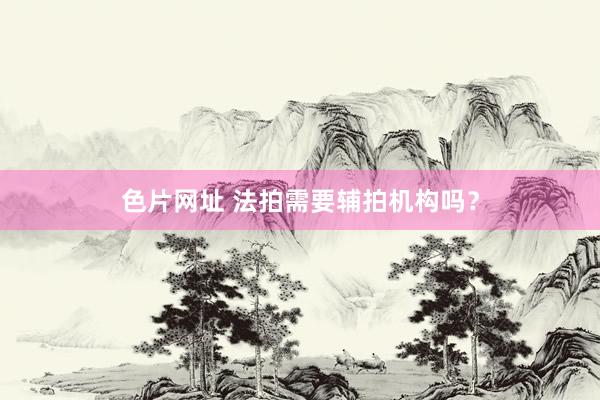 色片网址 法拍需要辅拍机构吗？