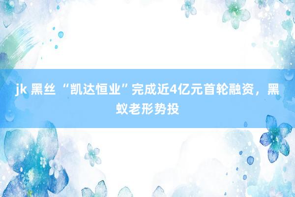 jk 黑丝 “凯达恒业”完成近4亿元首轮融资，黑蚁老形势投