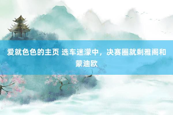 爱就色色的主页 选车迷濛中，决赛圈就剩雅阁和蒙迪欧