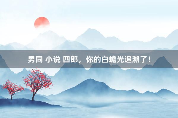 男同 小说 四郎，你的白蟾光追溯了！