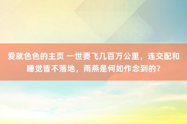 爱就色色的主页 一世要飞几百万公里，连交配和睡觉皆不落地，雨燕是何如作念到的？
