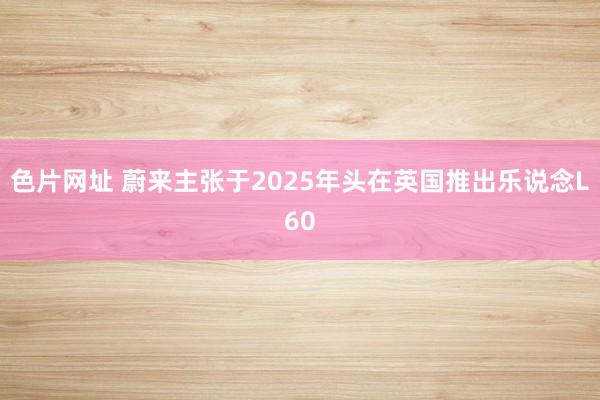 色片网址 蔚来主张于2025年头在英国推出乐说念L60