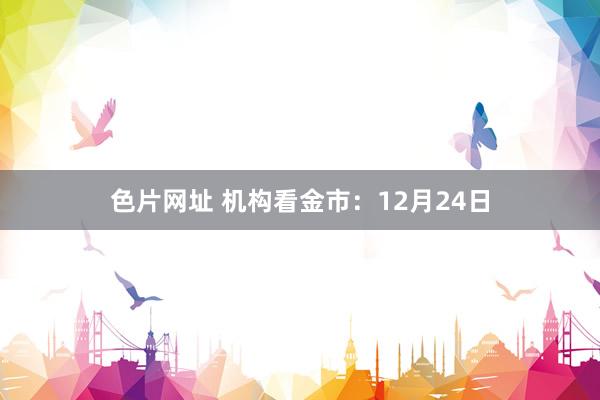 色片网址 机构看金市：12月24日