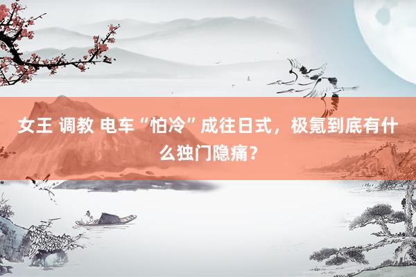 女王 调教 电车“怕冷”成往日式，极氪到底有什么独门隐痛？