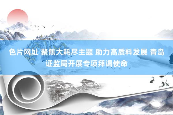色片网址 聚焦大耗尽主题 助力高质料发展 青岛证监局开展专项拜谒使命
