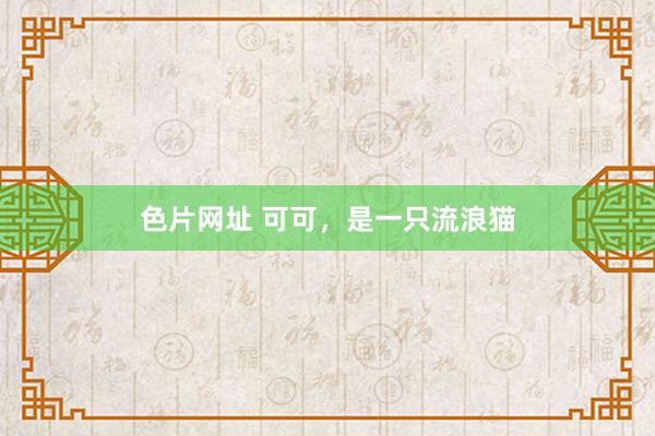 色片网址 可可，是一只流浪猫