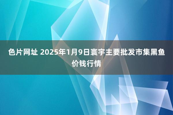 色片网址 2025年1月9日寰宇主要批发市集黑鱼价钱行情