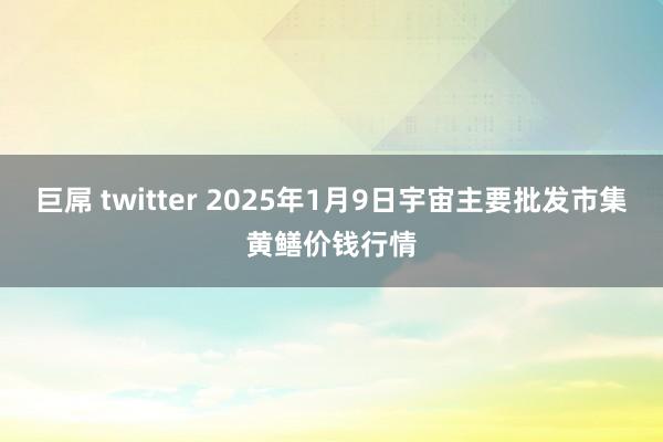巨屌 twitter 2025年1月9日宇宙主要批发市集黄鳝价钱行情