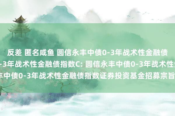 反差 匿名咸鱼 圆信永丰中债0-3年战术性金融债指数A,圆信永丰中债0-3年战术性金融债指数C: 圆信永丰中债0-3年战术性金融债指数证券投资基金招募宗旨书(更新)