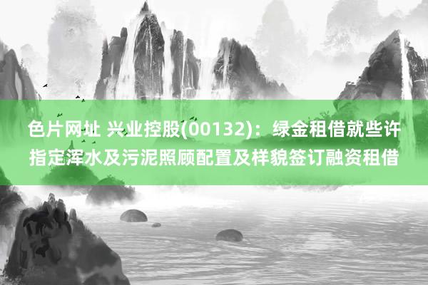 色片网址 兴业控股(00132)：绿金租借就些许指定浑水及污泥照顾配置及样貌签订融资租借