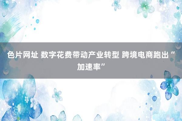 色片网址 数字花费带动产业转型 跨境电商跑出“加速率”