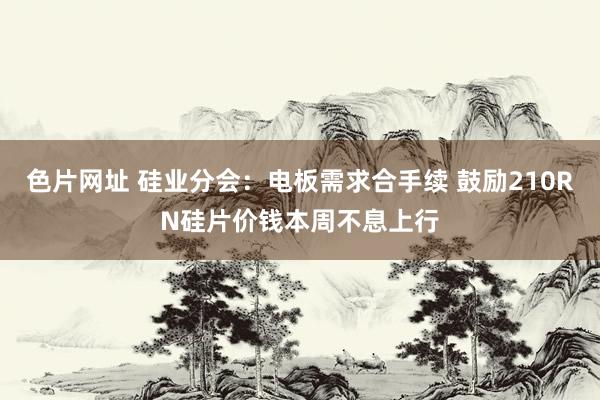 色片网址 硅业分会：电板需求合手续 鼓励210RN硅片价钱本周不息上行