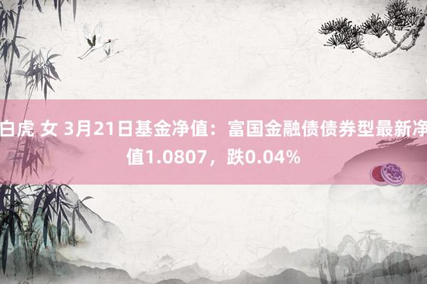 白虎 女 3月21日基金净值：富国金融债债券型最新净值1.0807，跌0.04%