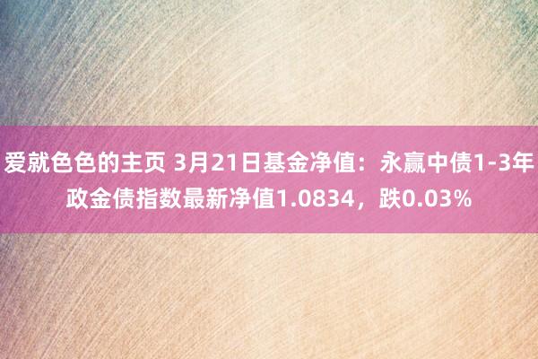 爱就色色的主页 3月21日基金净值：永赢中债1-3年政金债指数最新净值1.0834，跌0.03%
