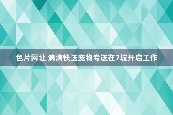 色片网址 滴滴快送宠物专送在7城开启工作