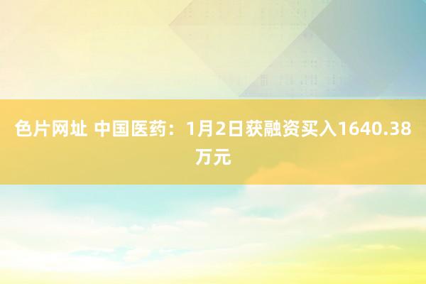 色片网址 中国医药：1月2日获融资买入1640.38万元