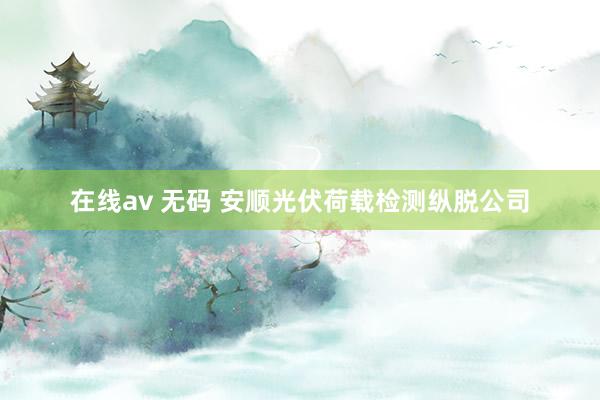在线av 无码 安顺光伏荷载检测纵脱公司