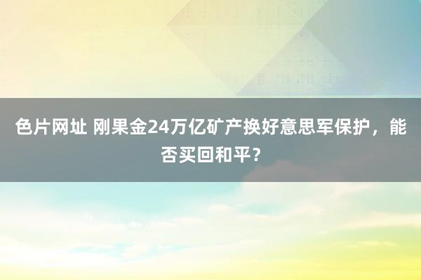 色片网址 刚果金24万亿矿产换好意思军保护，能否买回和平？