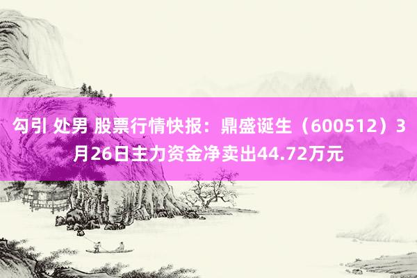 勾引 处男 股票行情快报：鼎盛诞生（600512）3月26日主力资金净卖出44.72万元
