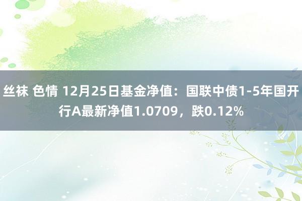 丝袜 色情 12月25日基金净值：国联中债1-5年国开行A最新净值1.0709，跌0.12%