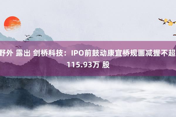 野外 露出 剑桥科技：IPO前鼓动康宜桥规画减握不超 115.93万 股