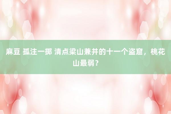 麻豆 孤注一掷 清点梁山兼并的十一个盗窟，桃花山最弱？