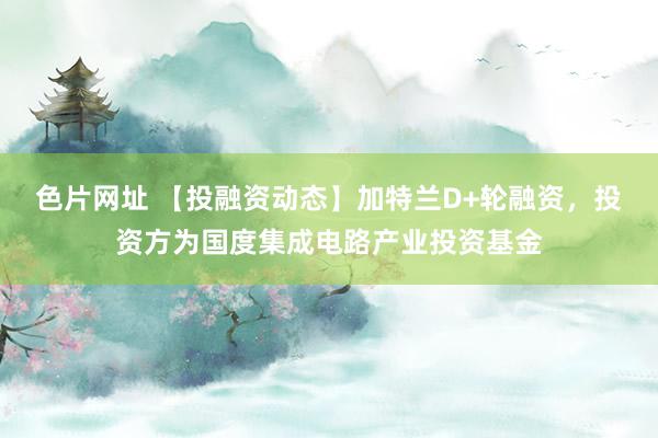 色片网址 【投融资动态】加特兰D+轮融资，投资方为国度集成电路产业投资基金