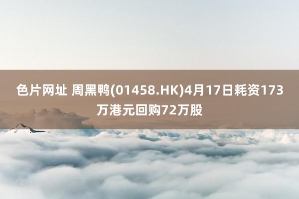 色片网址 周黑鸭(01458.HK)4月17日耗资173万港元回购72万股