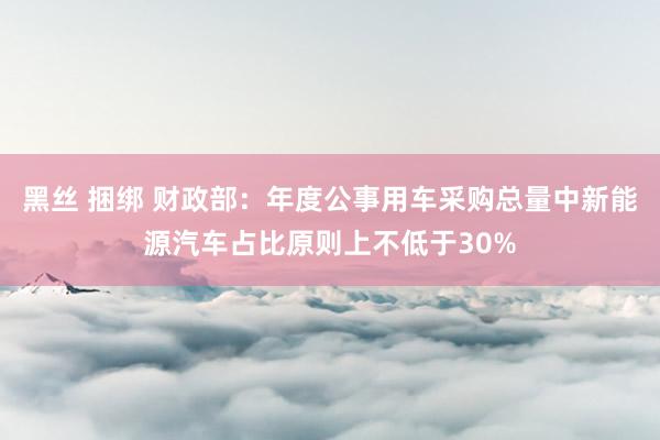 黑丝 捆绑 财政部：年度公事用车采购总量中新能源汽车占比原则上不低于30%