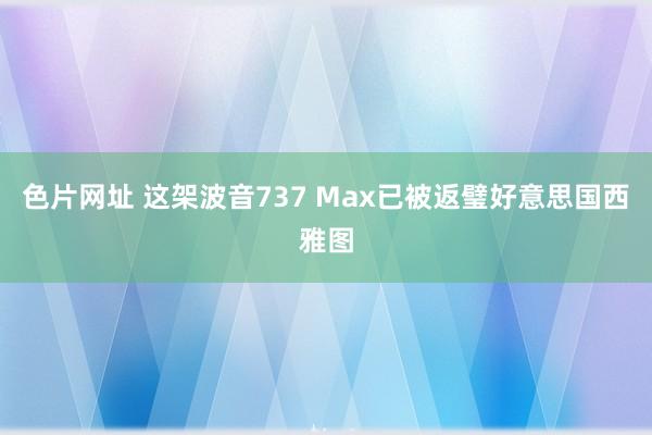 色片网址 这架波音737 Max已被返璧好意思国西雅图