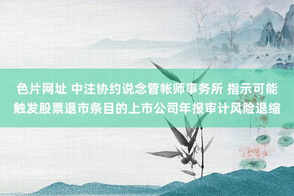 色片网址 中注协约说念管帐师事务所 指示可能触发股票退市条目的上市公司年报审计风险退缩