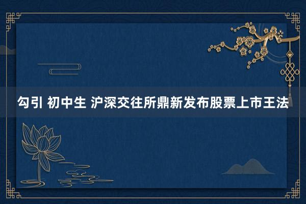 勾引 初中生 沪深交往所鼎新发布股票上市王法